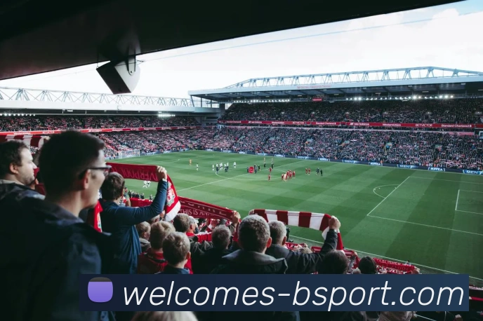 B体育官网品牌故事