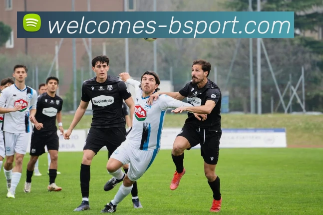 B体育官网服务体系